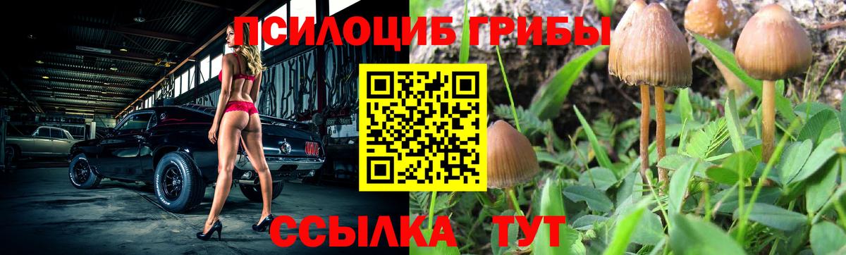 Псилоцибиновые грибы ЛСД Усинск